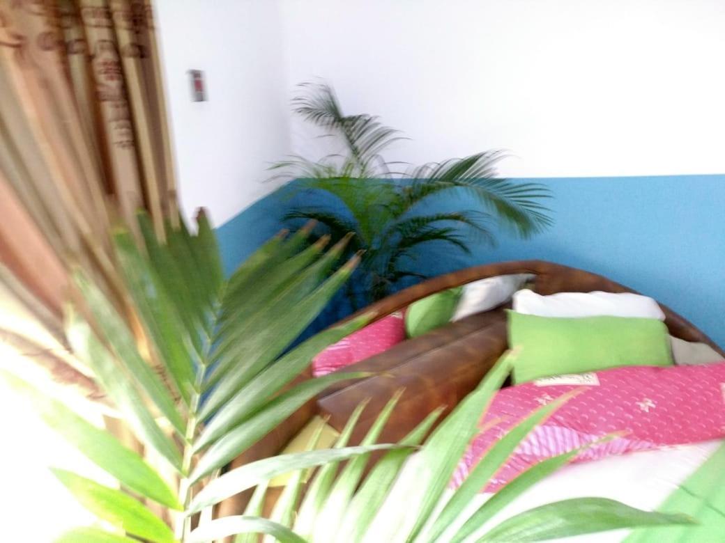 Elizz Guest House Janman Buitenkant foto